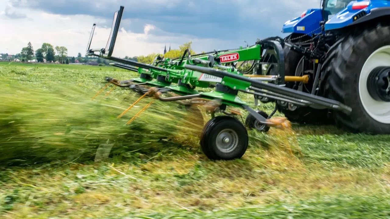 Tornado 5,50 hövändare Talex
