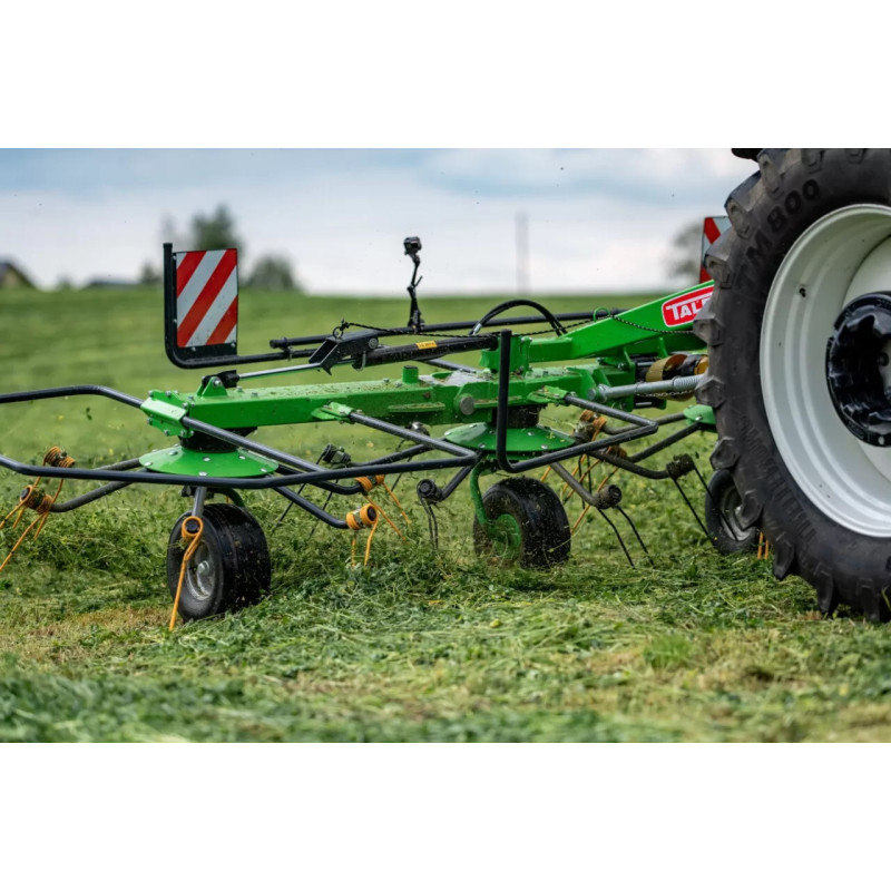 Tornado 5,50 hövändare Talex - Bild 5